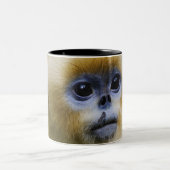 Qinling Mountains, okt. 2006 Tweekleurige Koffiemok (Center)