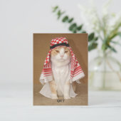 QITT/CAT BRIEFKAART (Staand voorkant)