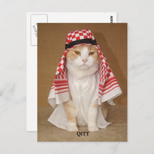 QITT/CAT BRIEFKAART (Voorkant / Achterkant)