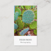 QR code Desert Cactus Professionele fotograaf Visitekaartje (Voorkant)