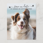 QR Code Dog Wedding Pet Foto bewaart datumkaarten (Voorkant)