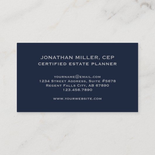 QR Code Marine blauw grijs Visitekaartje (Achterkant)