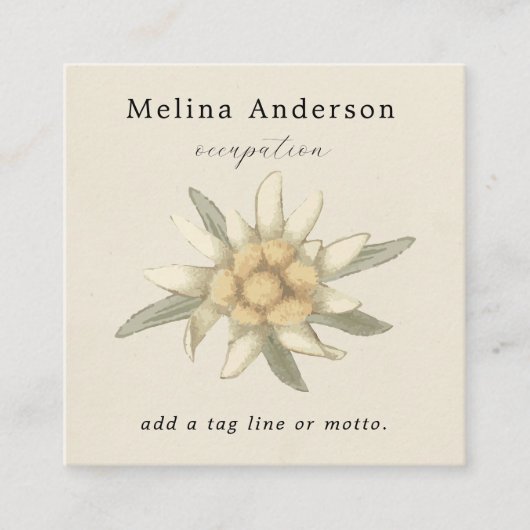 QR Code Simple Edelweiss Flower Vierkante Visitekaartje (Voorkant)