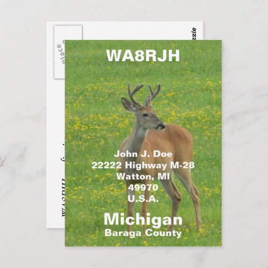 QSL-pc's HAM-radio Op spring buck whitetail hert Briefkaart (Voorkant / Achterkant)