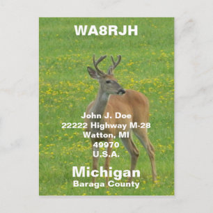 QSL-pc's HAM-radio Op spring buck whitetail hert Briefkaart