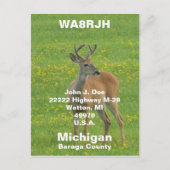 QSL-pc's HAM-radio Op spring buck whitetail hert Briefkaart (Voorkant)