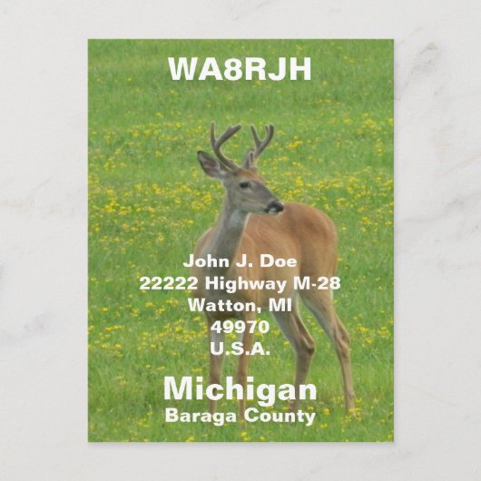 QSL-pc's HAM-radio Op spring buck whitetail hert Briefkaart (Voorkant)