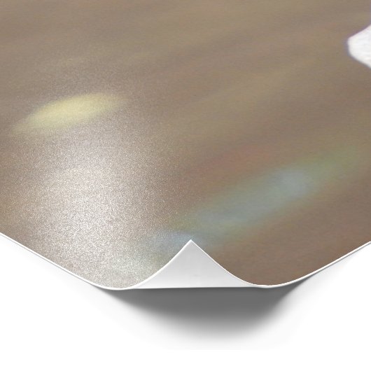 Quacking Mallard Duck Foto Afdruk (Hoek)