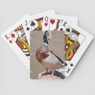 Quacking Mallard Duck Pokerkaarten