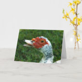 Quackity Kwakzalvers spreekt niet terug Kaart (Gele Bloem)