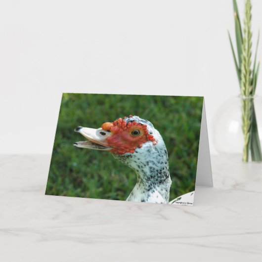 Quackity Kwakzalvers spreekt niet terug Kaart (Voorkant)