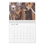 Quad Squad 2022 5,5 inch x 7 inch kalender (Jan 2027)