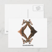 QUADGIRAFFEL BRIEFKAART (Voorkant / Achterkant)