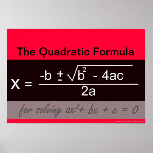 Quadratische Formule Wiskunde Poster