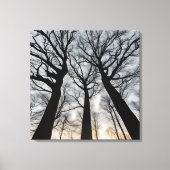 Quadro Árvore seca no deserto Canvas Afdruk (Voorkant)