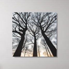 Quadro Árvore seca no deserto Canvas Afdruk