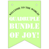 Quadruplet Boy's Blue Green Bunting Banner (Eerste vlag)