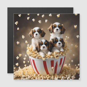 Quads Cavalier Spaniel Puppies in de popcorn,