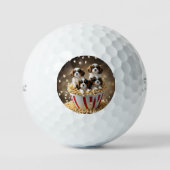 Quads Cavalier Spaniel Puppies in de popcorn, Golfballen (Voorkant)