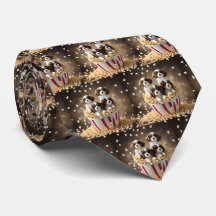 Quads Cavalier Spaniel Puppies in de popcorn,