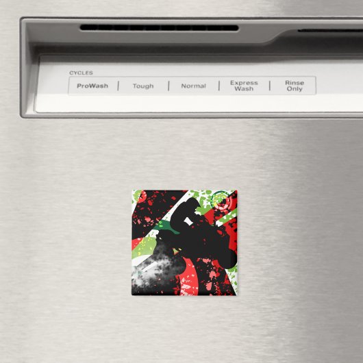 quads. magneet (Insitu (Vaatwasser))