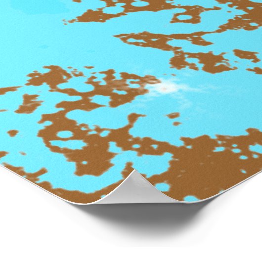 quads. poster (Hoek)