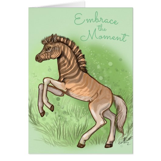 Quagga "Embrace the moment" (Voorkant)