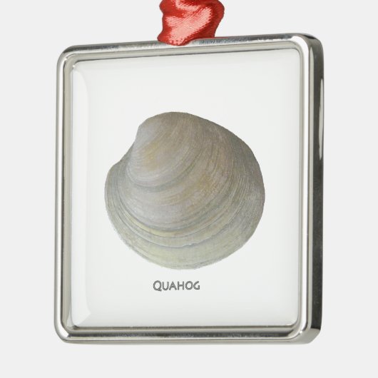 Quahog Clam Metalen Ornament (Links)