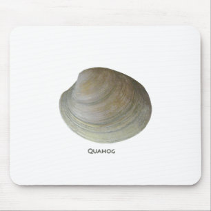 Quahog Clam Muismat