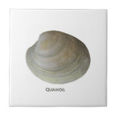 Quahog Clam Tegeltje (Voorkant)