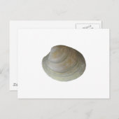 Quahog Clam (zonder titel) Briefkaart (Voorkant / Achterkant)