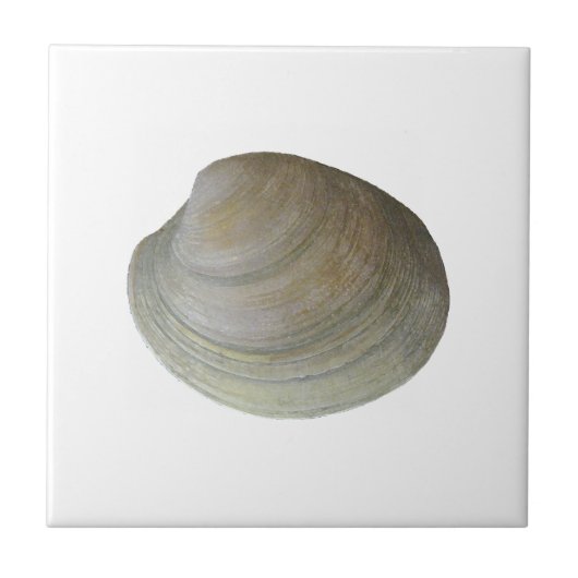 Quahog Clam (zonder titel) Tegeltje (Voorkant)