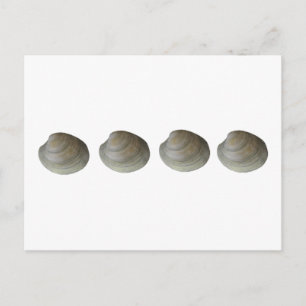 Quahog Clams Logo Briefkaart