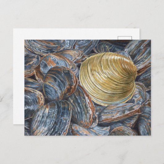 Quahog en Clams Briefkaart (Voorkant / Achterkant)