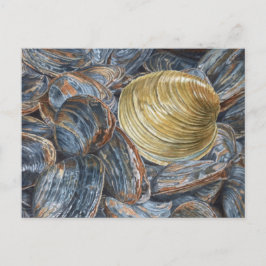 Quahog en Clams Briefkaart