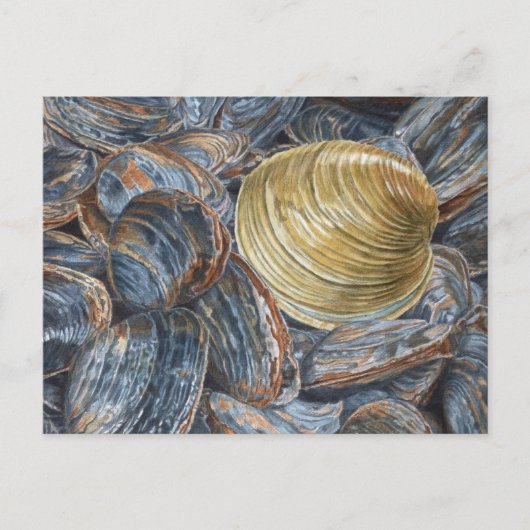 Quahog en Clams Briefkaart (Voorkant)