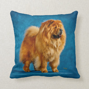 Quahrma Chow pillow Kussen