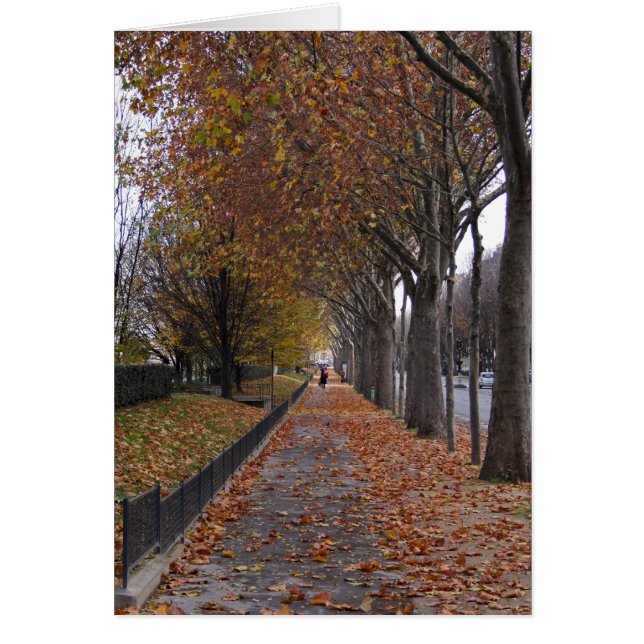 Quai d'Orsay (Voorkant)