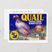 Quail Brand Contra Costa Bartletts Briefkaart (Voorkant / Achterkant)