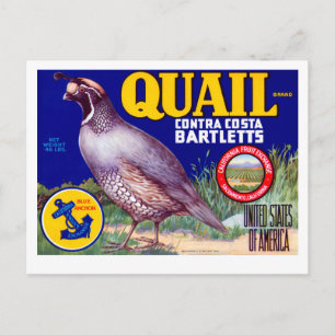Quail Brand Contra Costa Bartletts Briefkaart