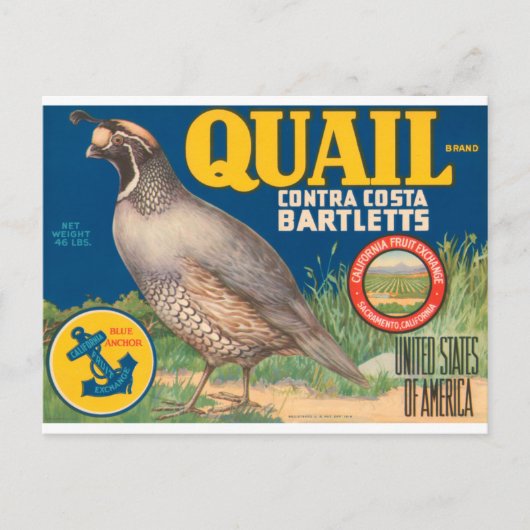 Quail Brand Contra Costa Bartletts Briefkaart (Voorkant)