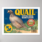 Quail Brand Contra Costa Bartletts Poster (Voorkant)