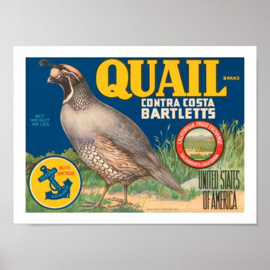 Quail Brand Contra Costa Bartletts Poster (Voorkant)