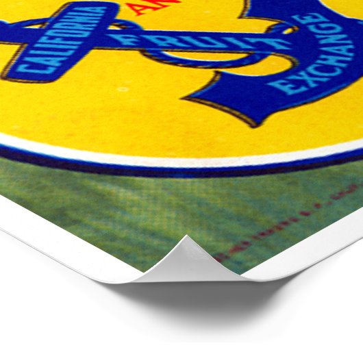 Quail Brand Contra Costa Bartletts Poster (Hoek)