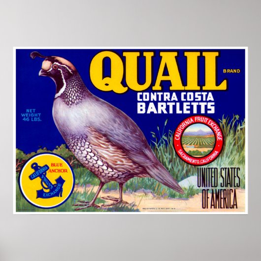 Quail Brand Contra Costa Bartletts Poster (Voorkant)