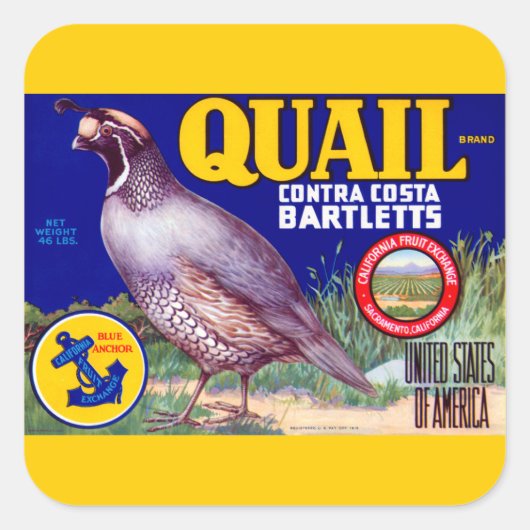 Quail Brand Contra Costa Bartletts Vierkante Sticker (Voorkant)