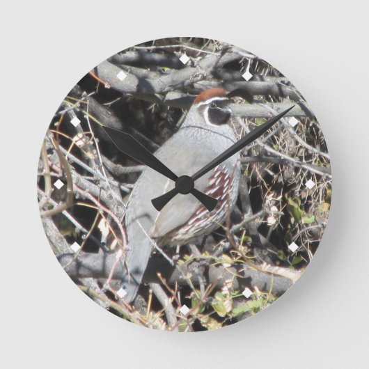 Quail Clock van Male Gambel Ronde Klok (Voorkant)