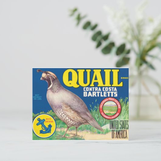 Quail Contra Costa Bartletts Sacramento Californië Briefkaart (Staand voorkant)