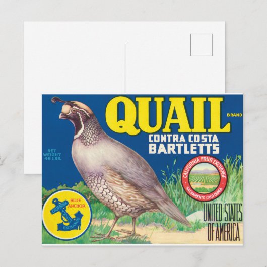 Quail Contra Costa Bartletts Sacramento Californië Briefkaart (Voorkant / Achterkant)