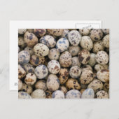 Quail Eggs, Huaraz, Cordillera Blanca, Ancash Briefkaart (Voorkant / Achterkant)
